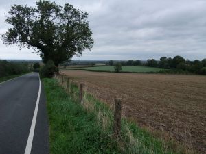 Fields at House Cross