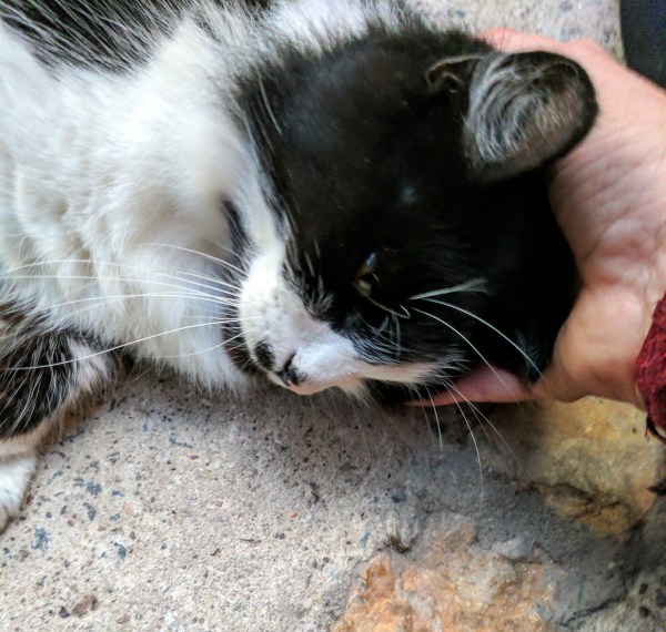 IMG_20170403_193242 (1)