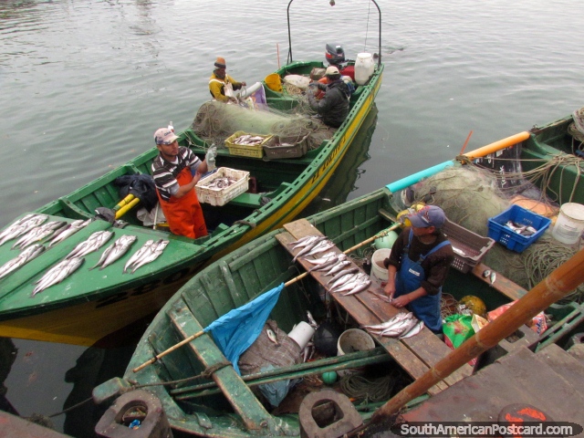 chile-GEAA2678_trip6